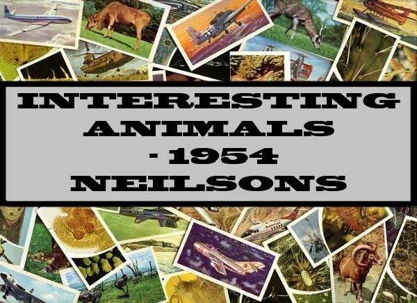 Interesting Animals - 1954 Neilsons