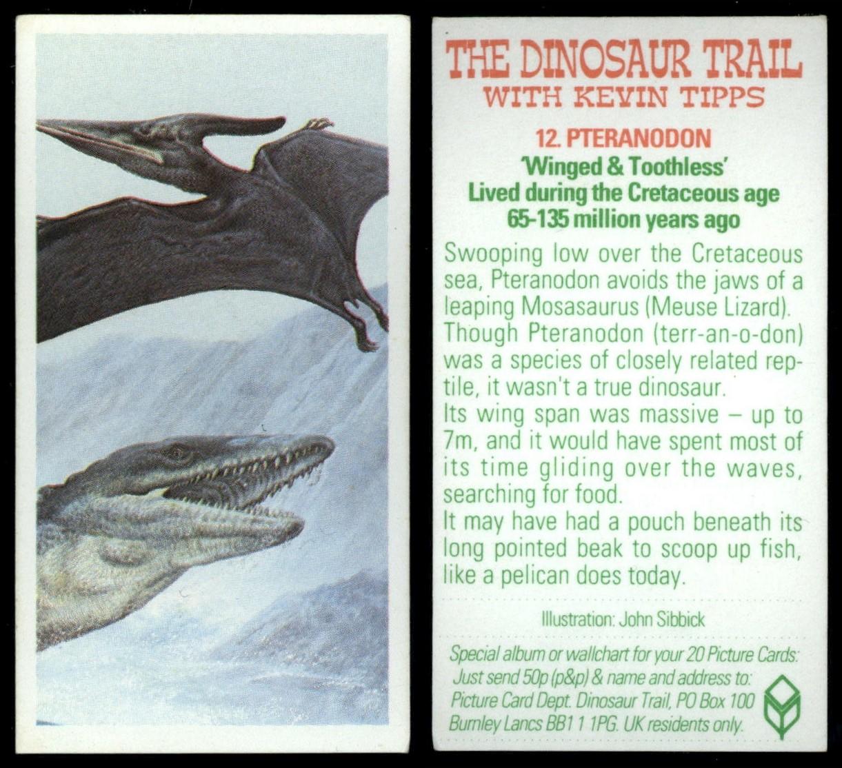 Pteranodon 12 The Dinosaur Trail 1993 Brooke Bond Tea Card