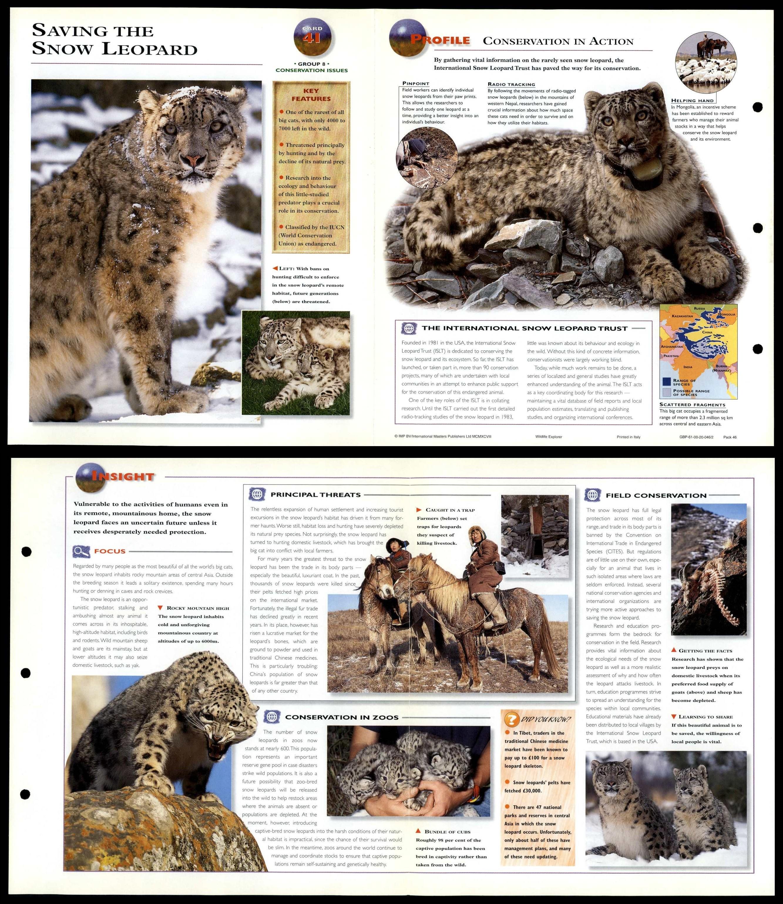 Saving The Snow Leopard #41 Conservation - Wildlife Explorer Fold-Out Card