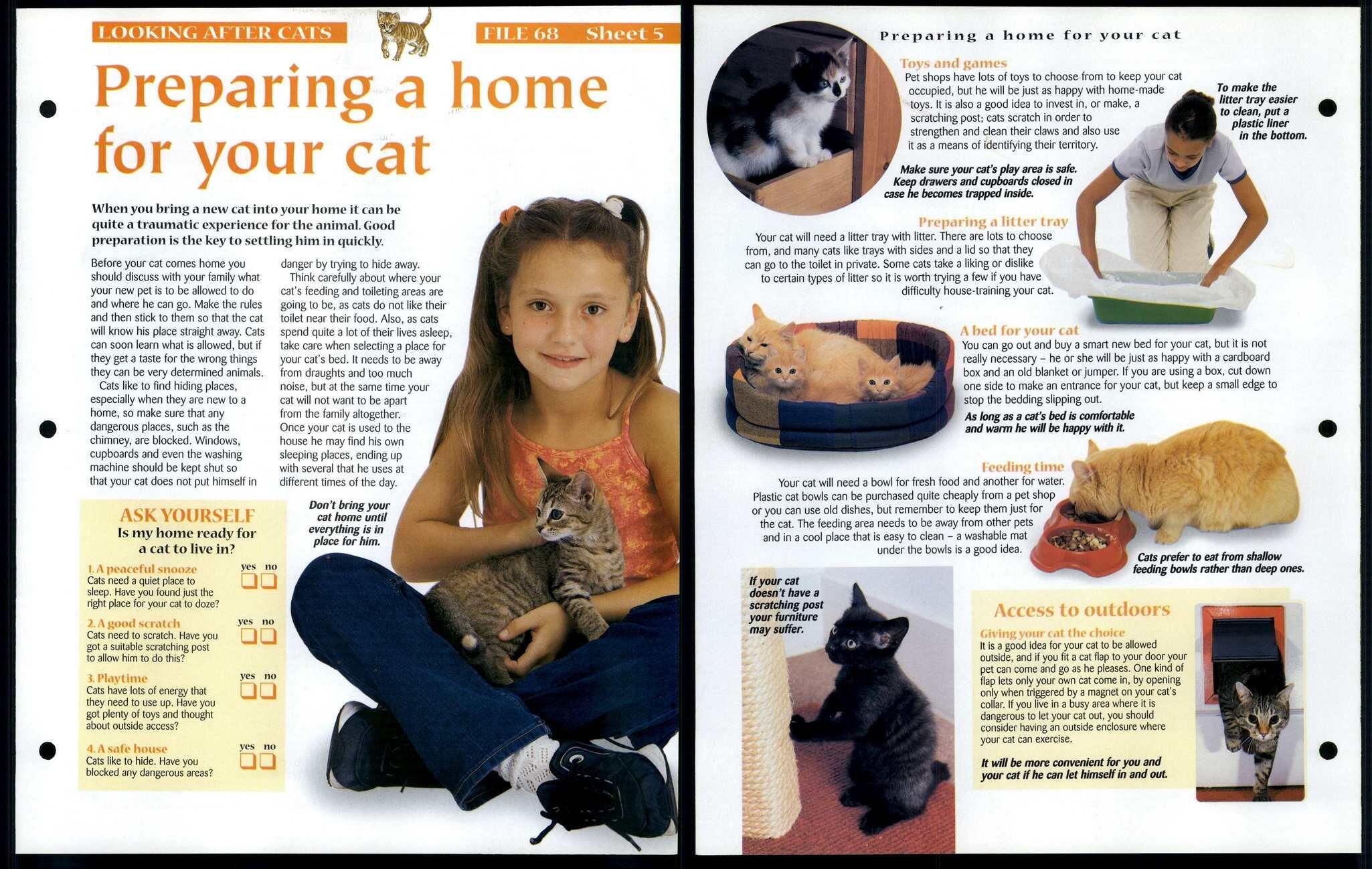 Preparing Home For Cat #5 Looking After Animals, Animals, Animals Fact 