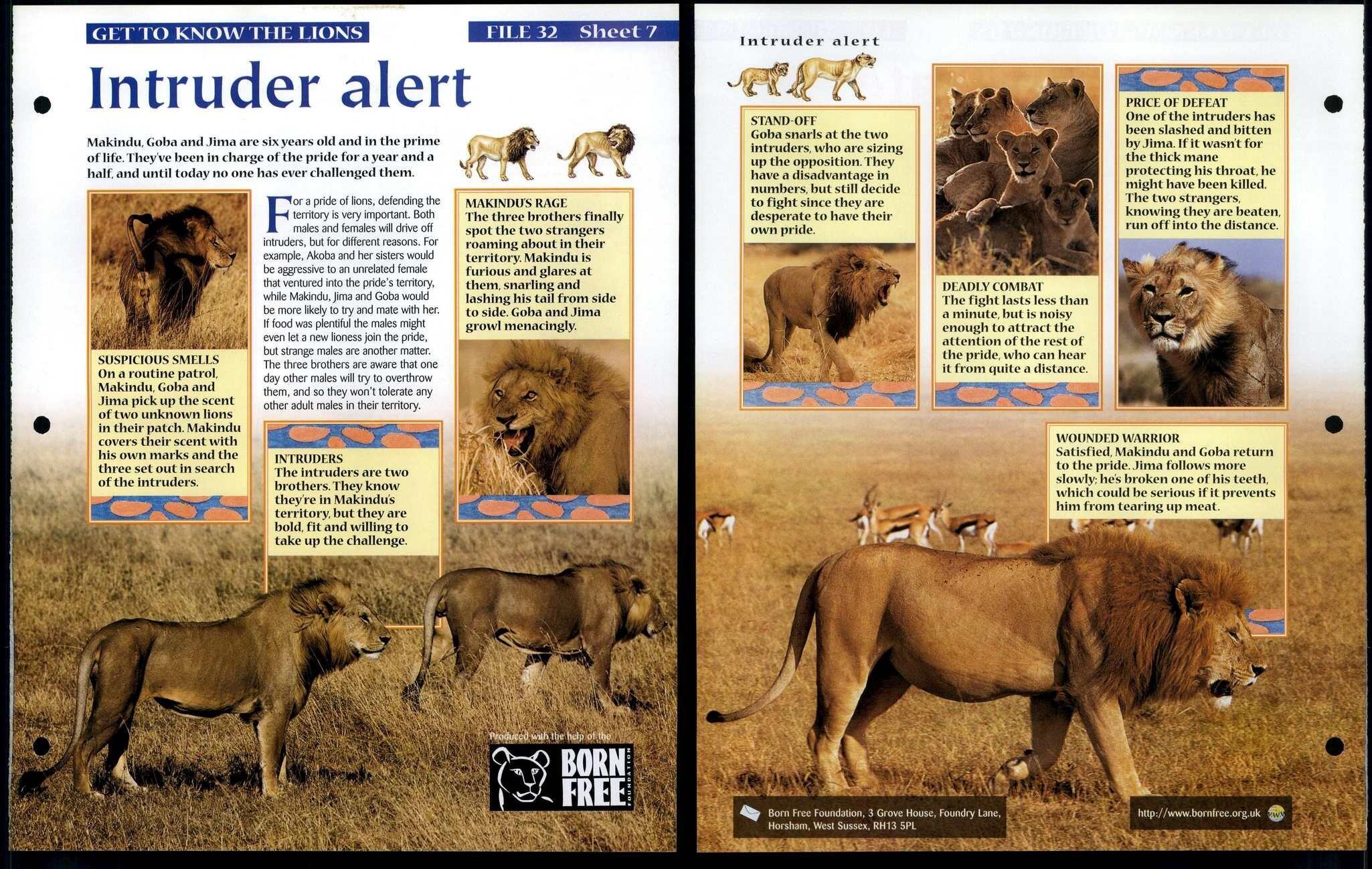 Intruder Alert #7 Get To Know Animals, Animals, Animals Fact File Page