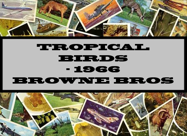 Tropical Birds - 1966 Browne Bros