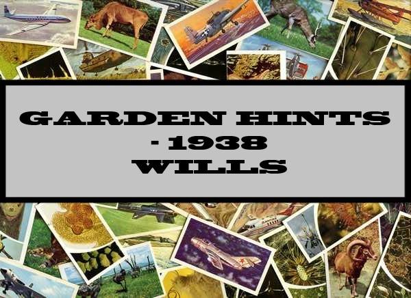 Garden Hints - 1938 Wills