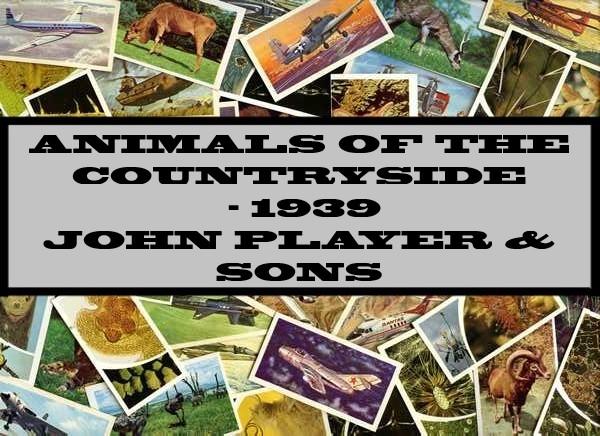 Animals Of The Countryside - 1939 John Player & Sons