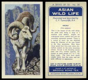 Asian Wild Life Gazelle * Brooke Bond Tea Card No 36 Goitred Gazelle * 