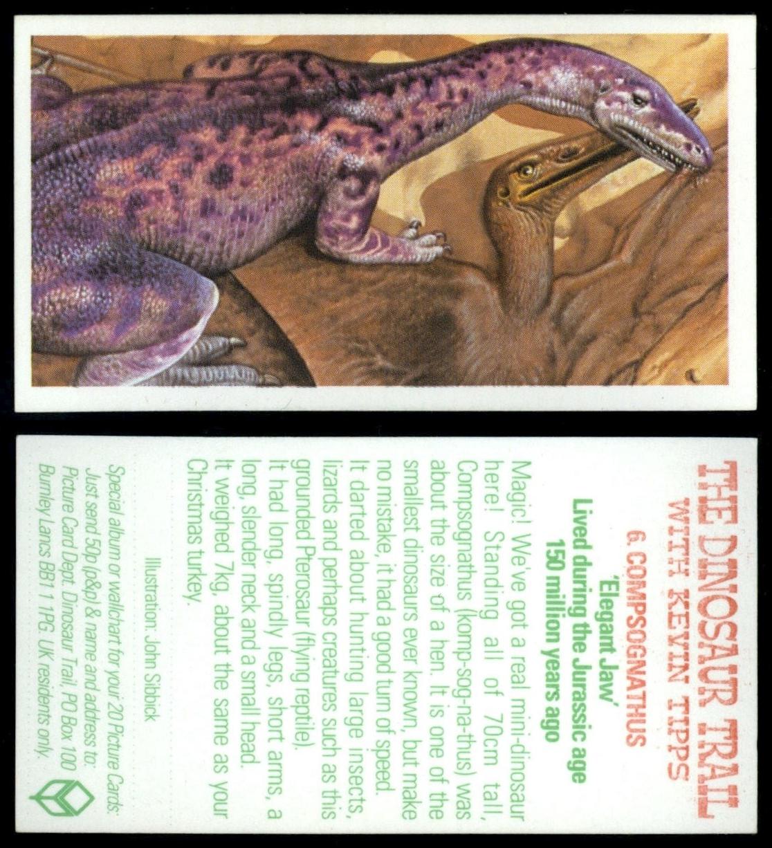 Compsognathus 6 The Dinosaur Trail 1993 Brooke Bond Tea Card