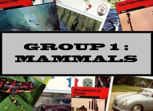 Group 1 : Mammals