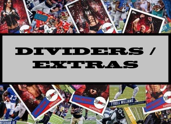 Dividers / Extras