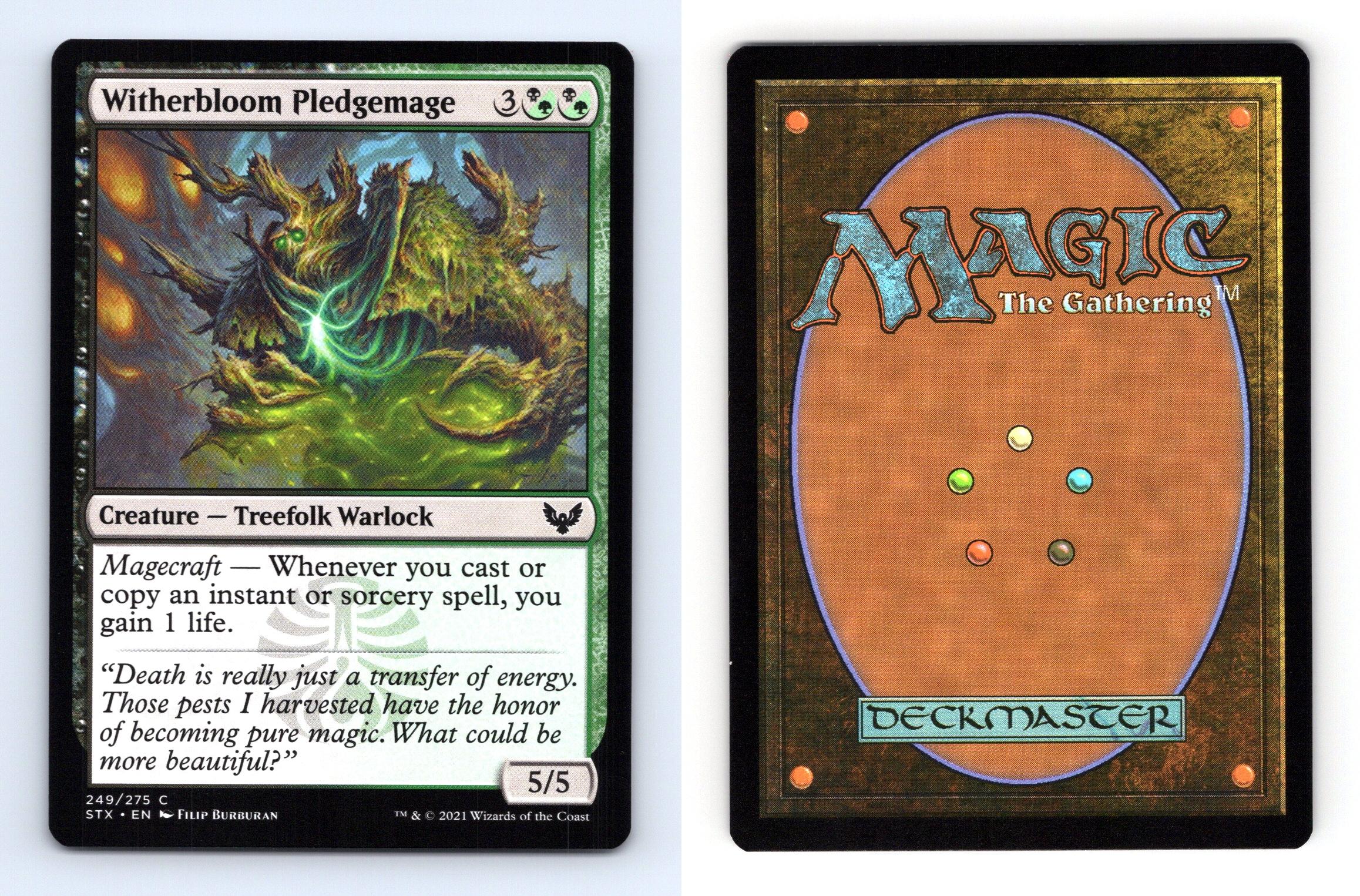 Witherbloom Pledgemage #249/275 MTG Strixhaven Common 2021 TCG Card