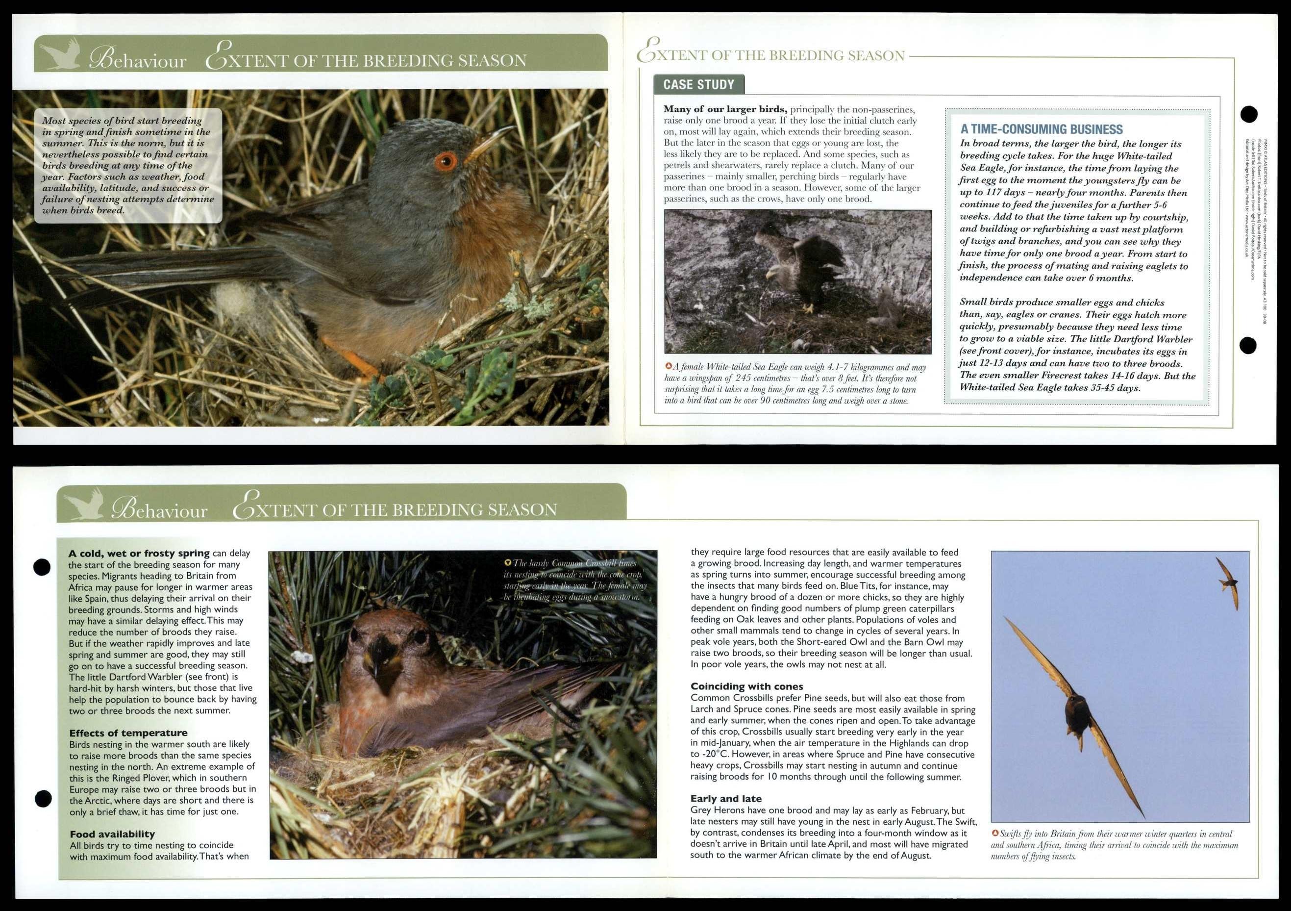 Extent Of The Breeding Season - Behaviour - Birds Of Britain Atlas ...