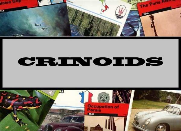 Crinoids