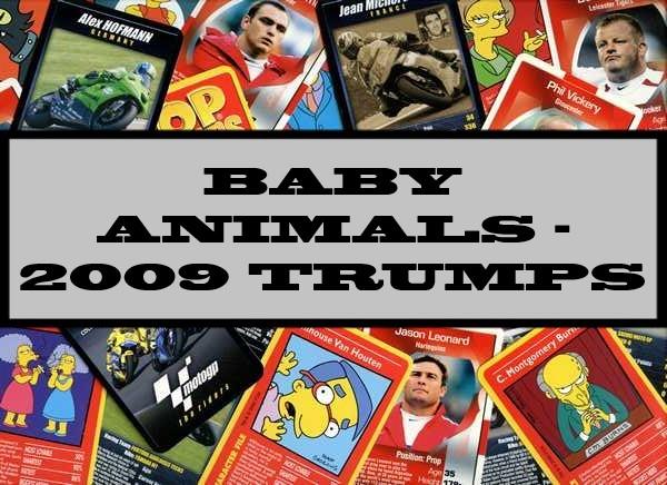 Baby Animals - 2009 Winning Moves