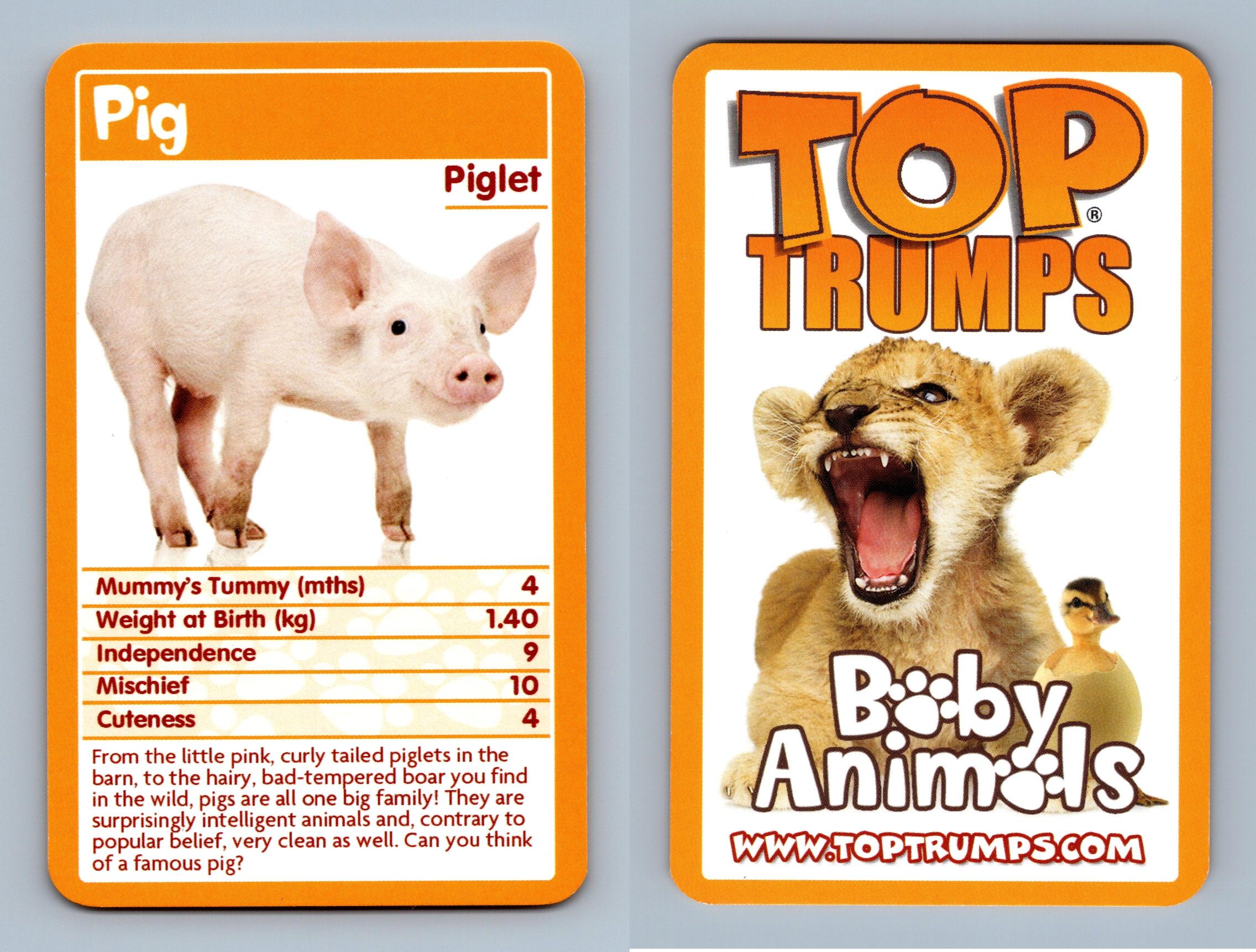 Schwein/Ferkel - Baby Tiere 2009 Top Trumps Karte - Bild 1 von 1