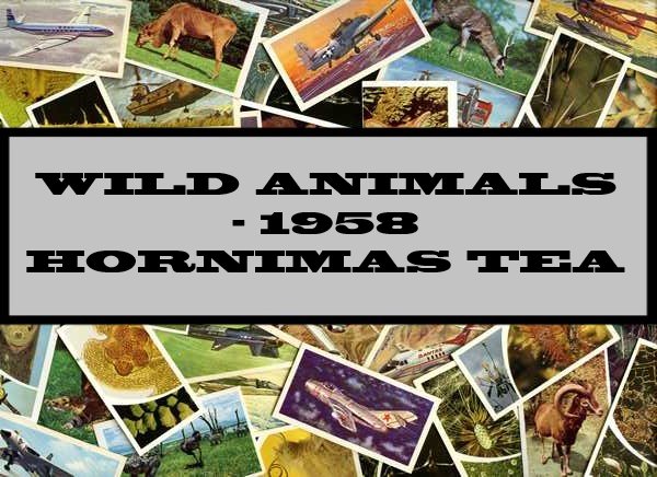 Wild Animals - 1958 Hornimans Tea
