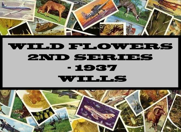 Wild Flowers 2nd Series - 1937 Wills
