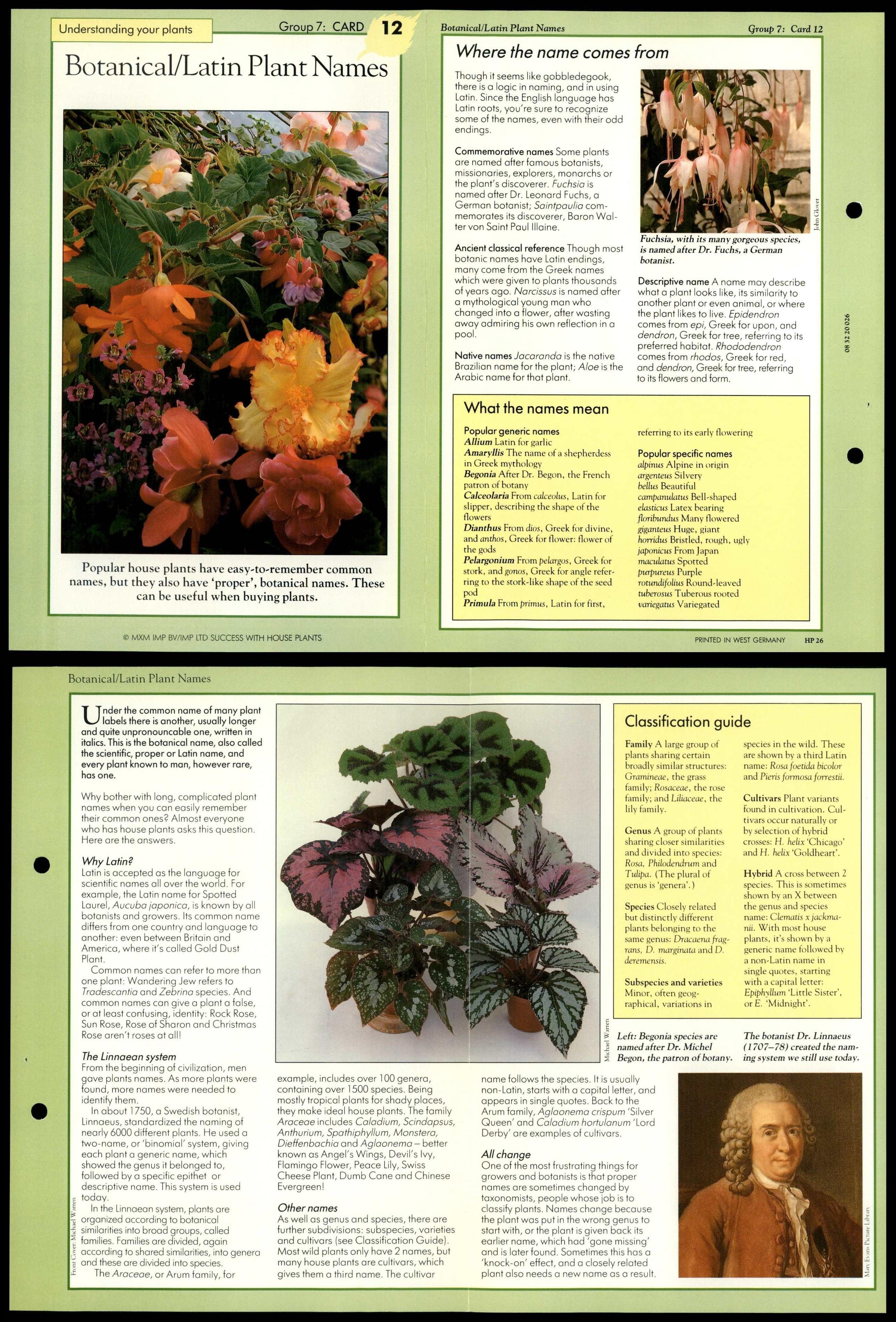 Plant Names 12 Understanding Success With House Plants FoldOut Card