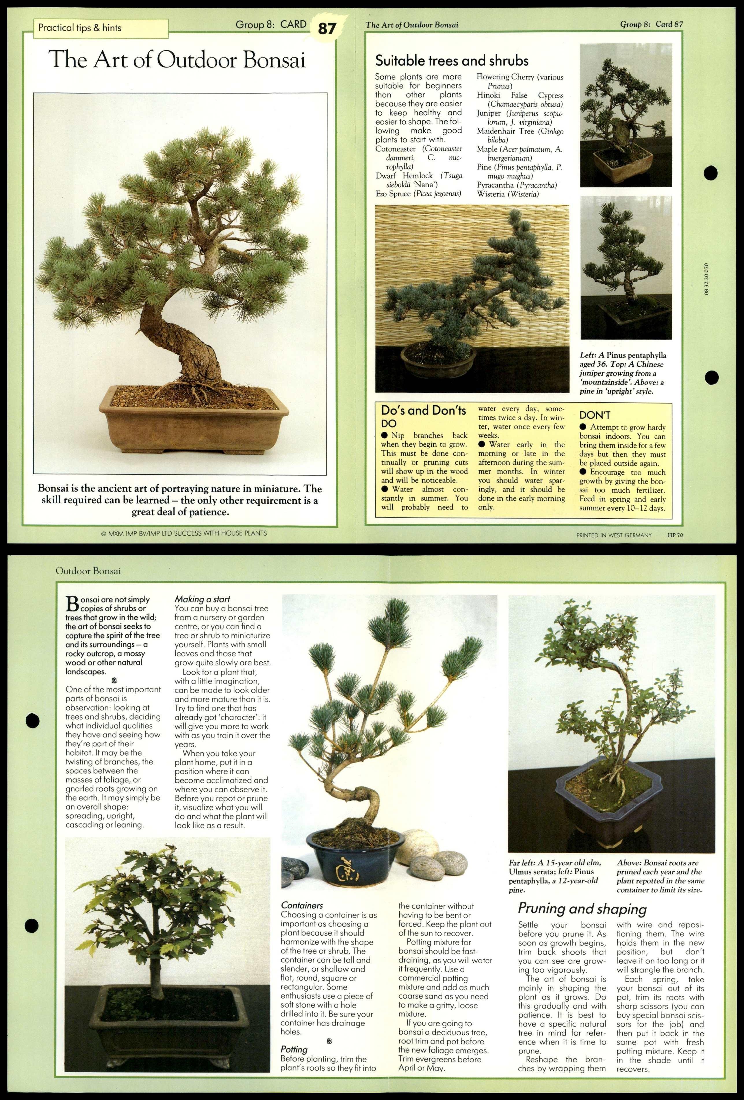 Art Of Outdoor Bonsai #87 Tips - Success With House Plants 1990 Fold-Out  Card