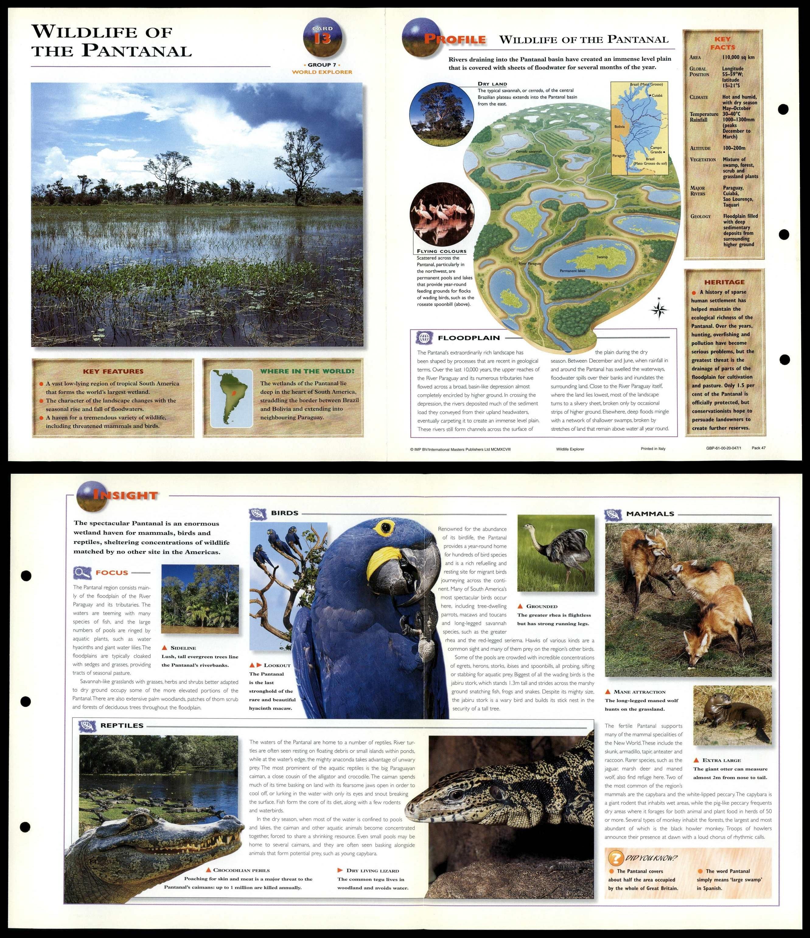 Wildlife Of The Pantanal #13 World - Wildlife Explorer Fold-Out Card