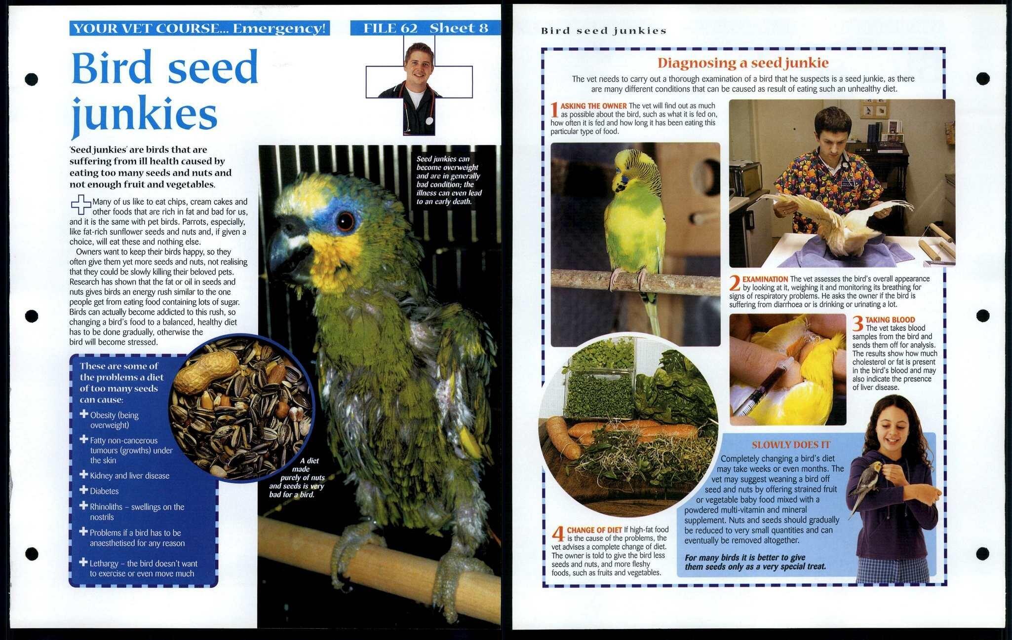 Bird Seed Junkies 8 Vet Course Animals, Animals, Animals Fact File Page