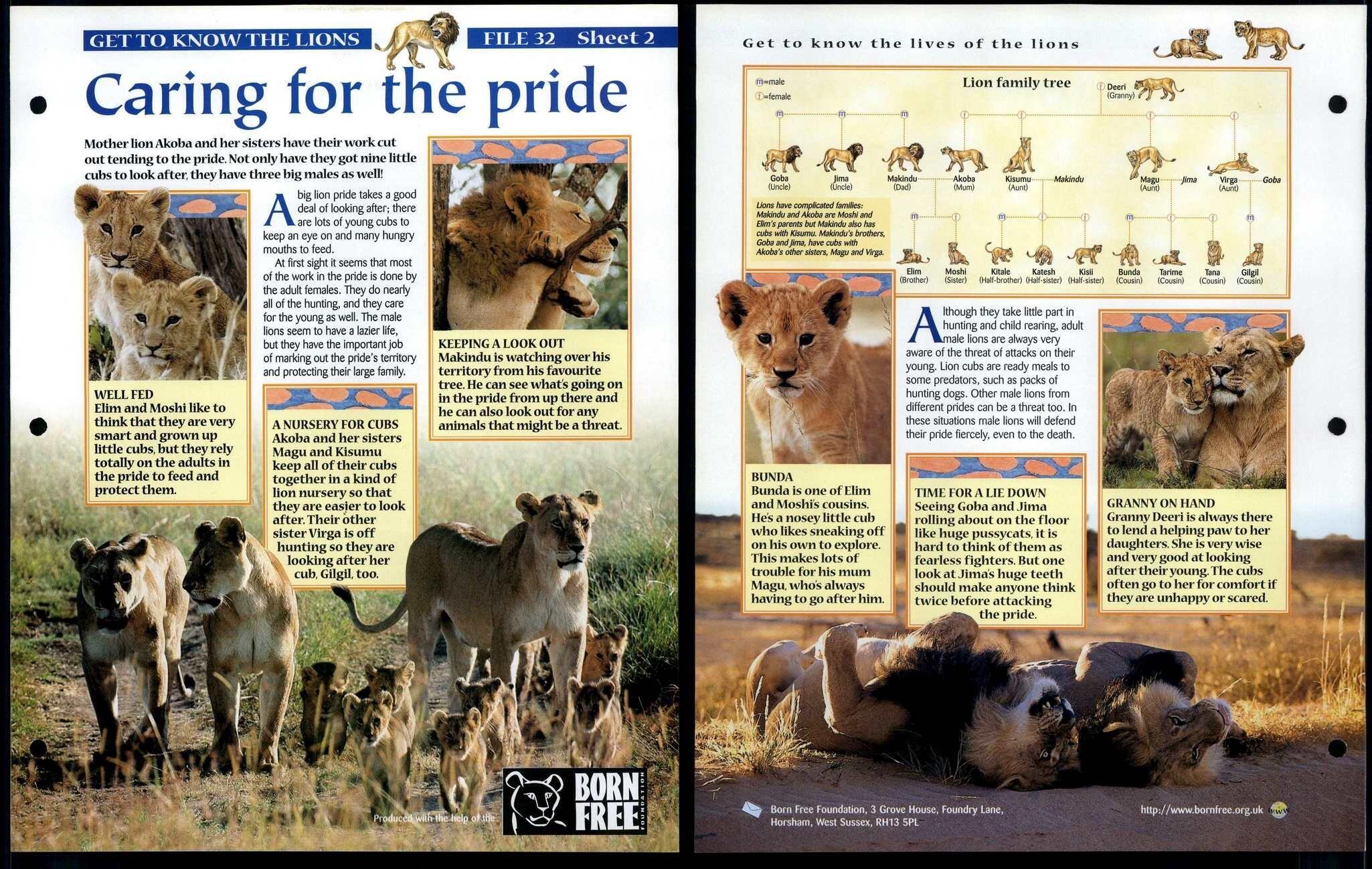 Caring For Pride #2 Get To Know Animals, Animals, Animals Fact File Page