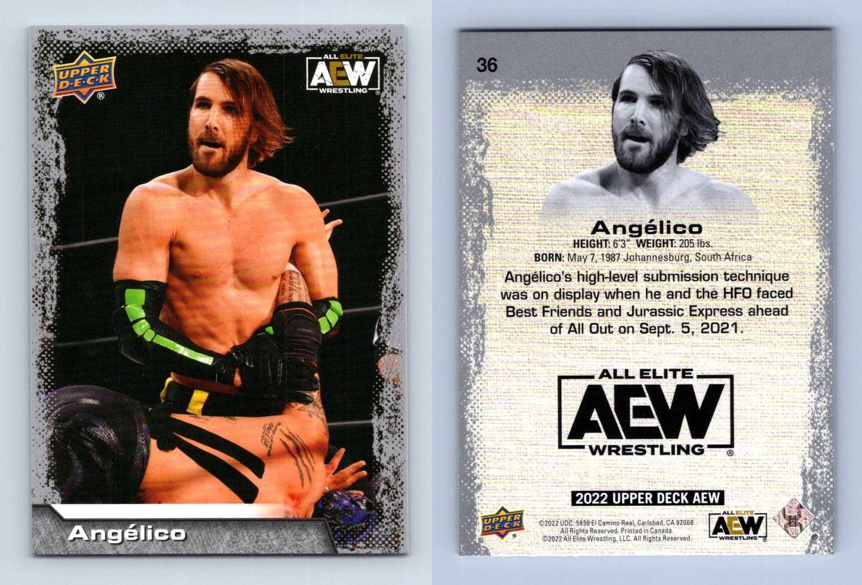 HOOK 2022 UPPER DECK AEW WRESTLING AUTOGRAPH SIGNED ROOKIE CARD