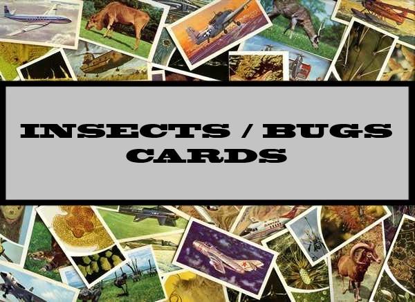 Insects / Bugs Cards