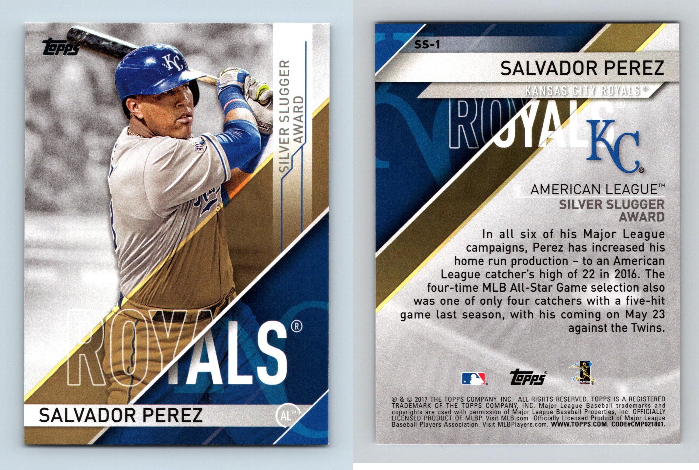 Salvador Perez - Owner - Salvador Perez Inc