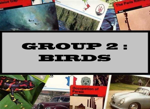 Group 2 : Birds
