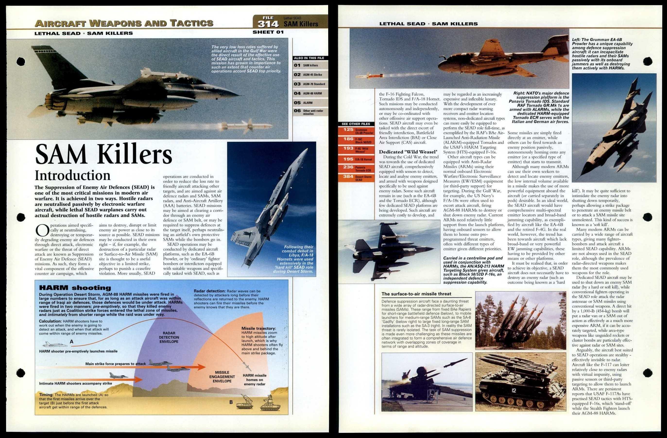 SAM Killers 314 Weapons World Aircraft Information Page