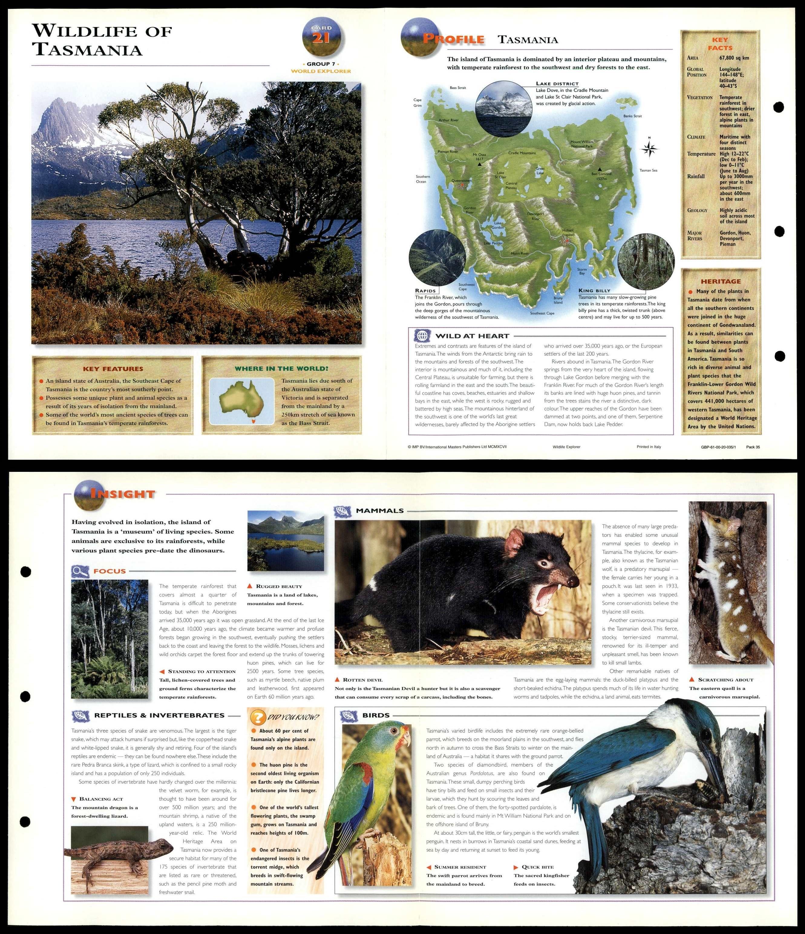 Wildlife Of Tasmania 21 World Wildlife Explorer FoldOut Card
