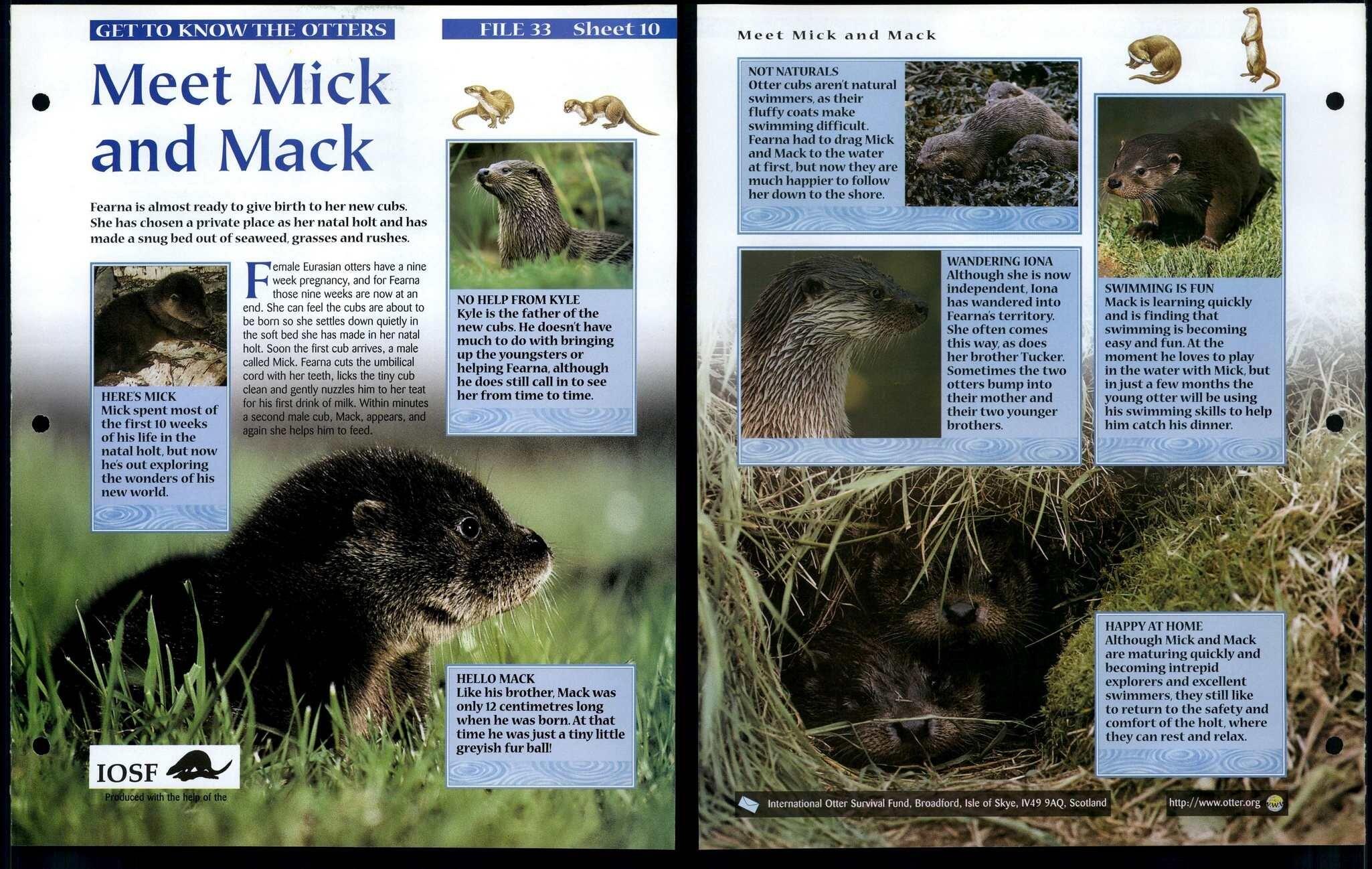 Meet Mick & Mack #10 Get To Know Animals, Animals, Animals Fact File Page