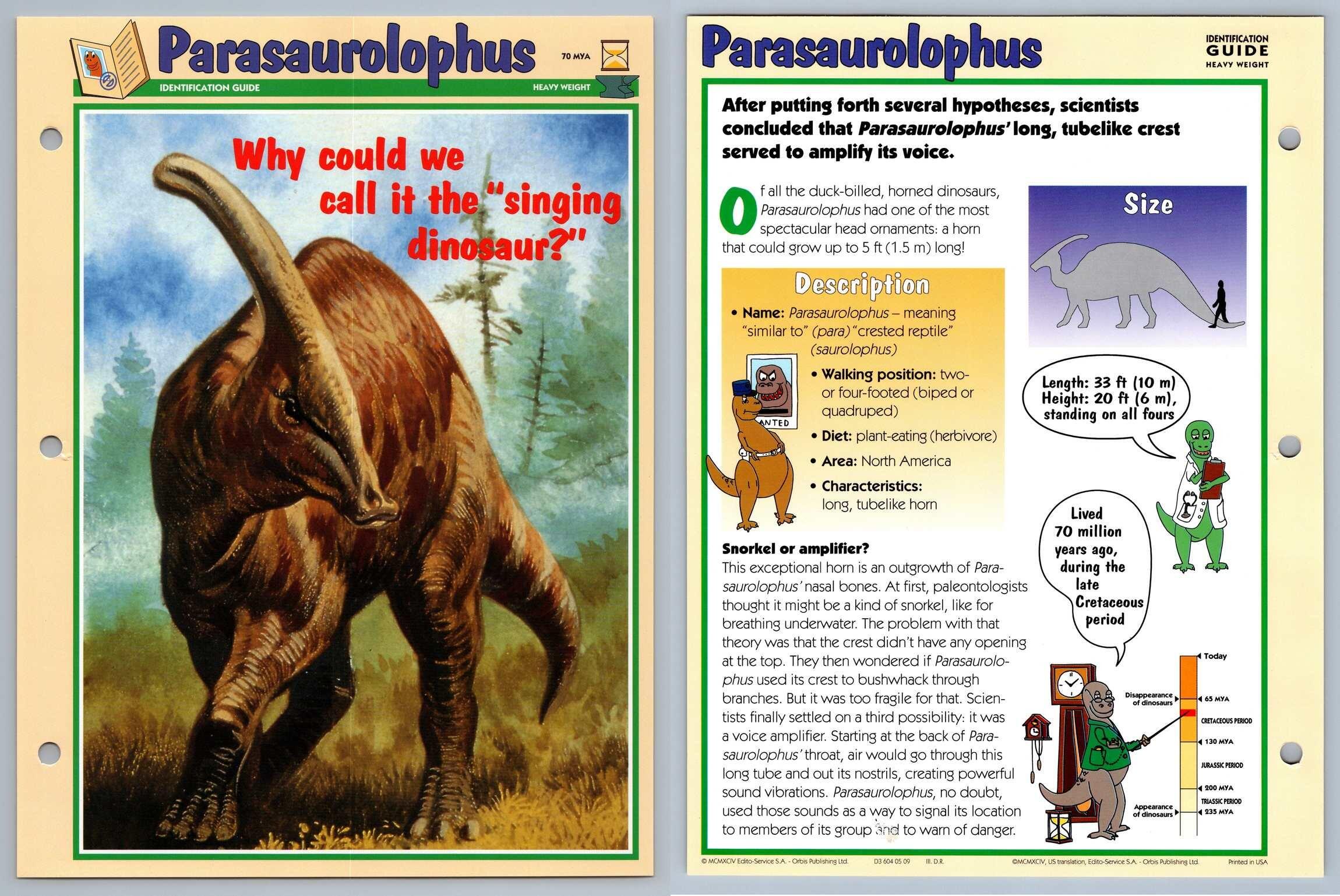 Parasaurolophus Identification Guide Dinosaurs! Orbis Play