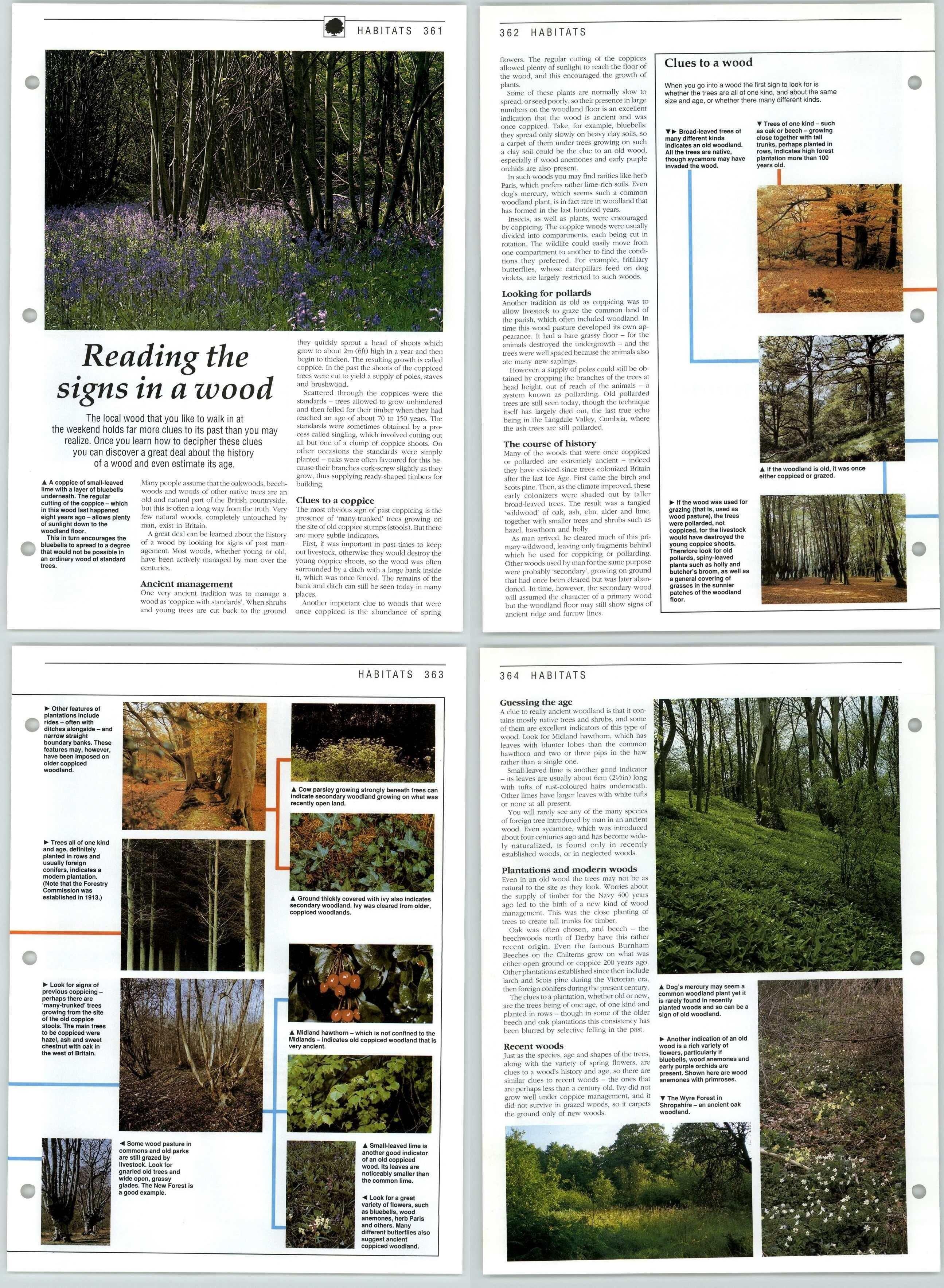 Reading The Signs In A Wood Habitats The Living Countryside 2 Pages