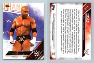 #174 JAMIE NOBLE 2016 Topps WWE Then Now Forever 