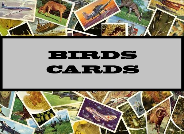 Birds Cards