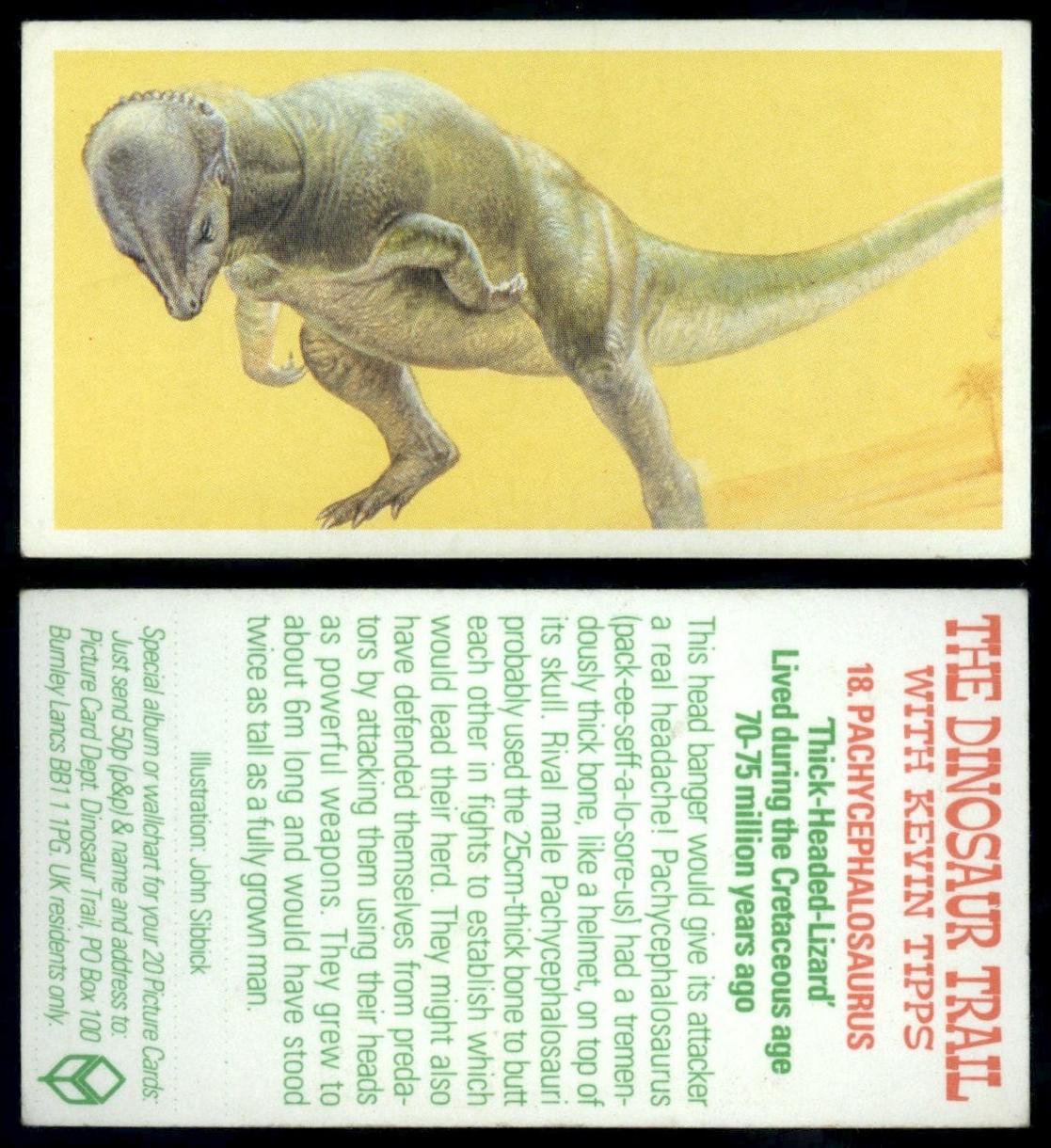 Pachycephalosaurus #18 The Dinosaur Trail 1993 Brooke Bond Tea Card