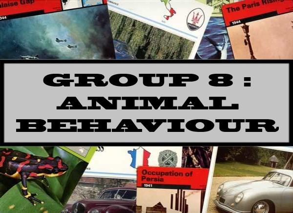 Group 8 : Animal Behaviour