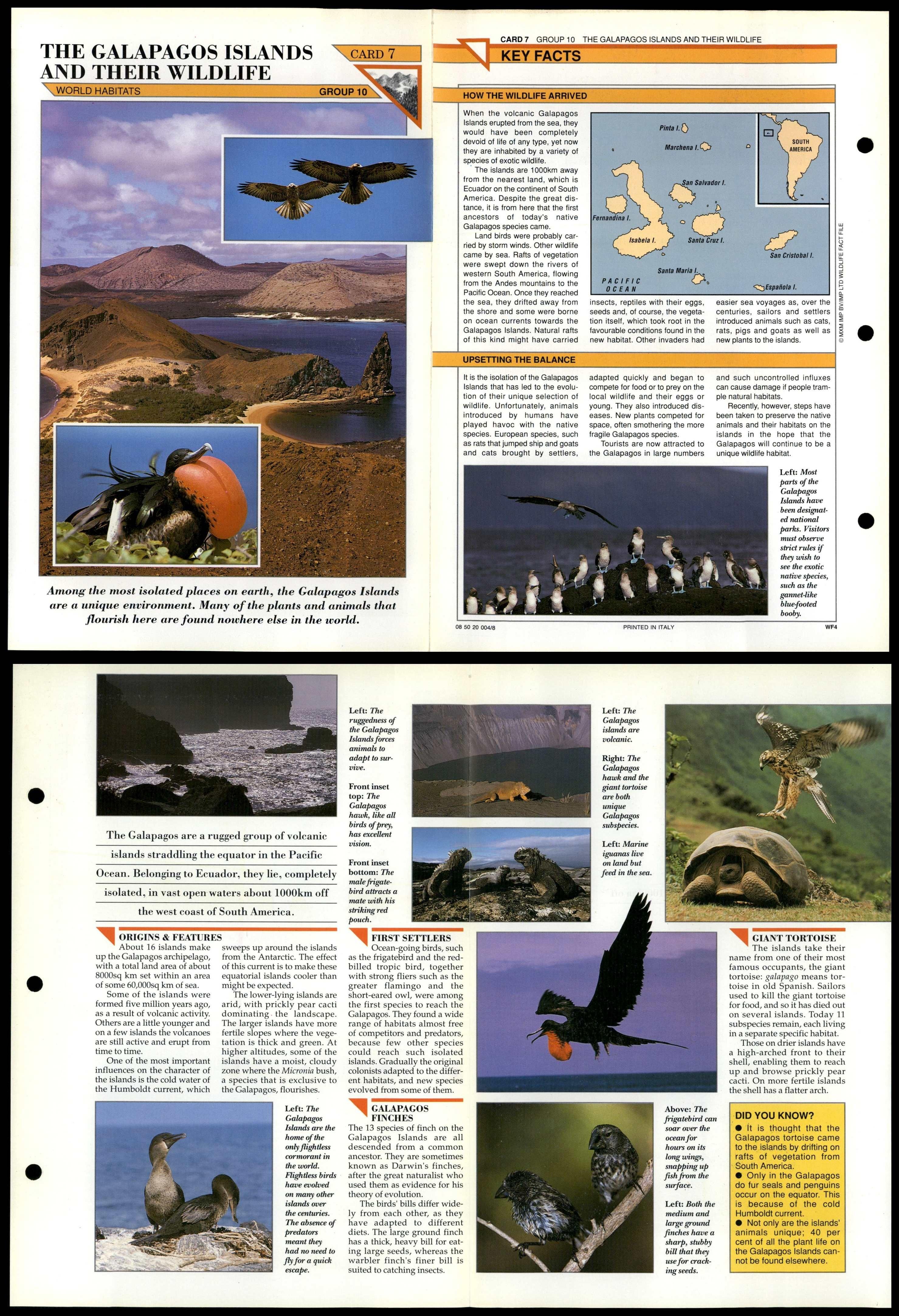 GALAPAGOS ISLANDS #7 World Habitats Wildlife Fact File Fold-Out Card ...