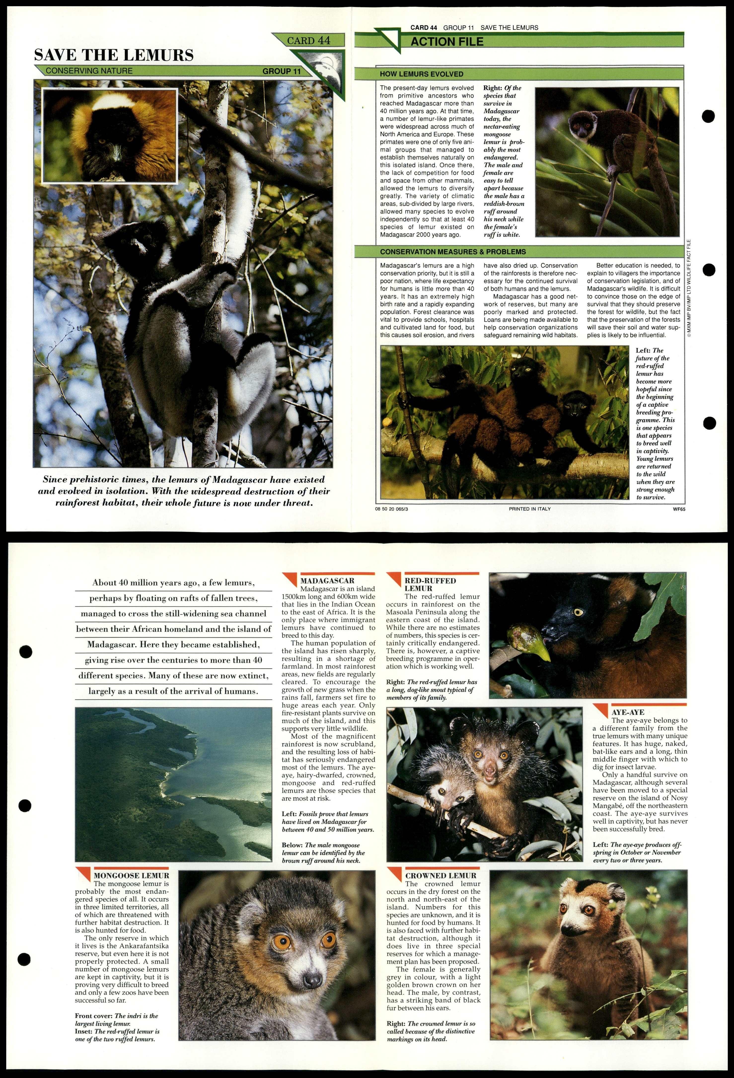 SAVE THE LEMURS #44 Conservation Wildlife Fact File Fold-Out Card $2.49
