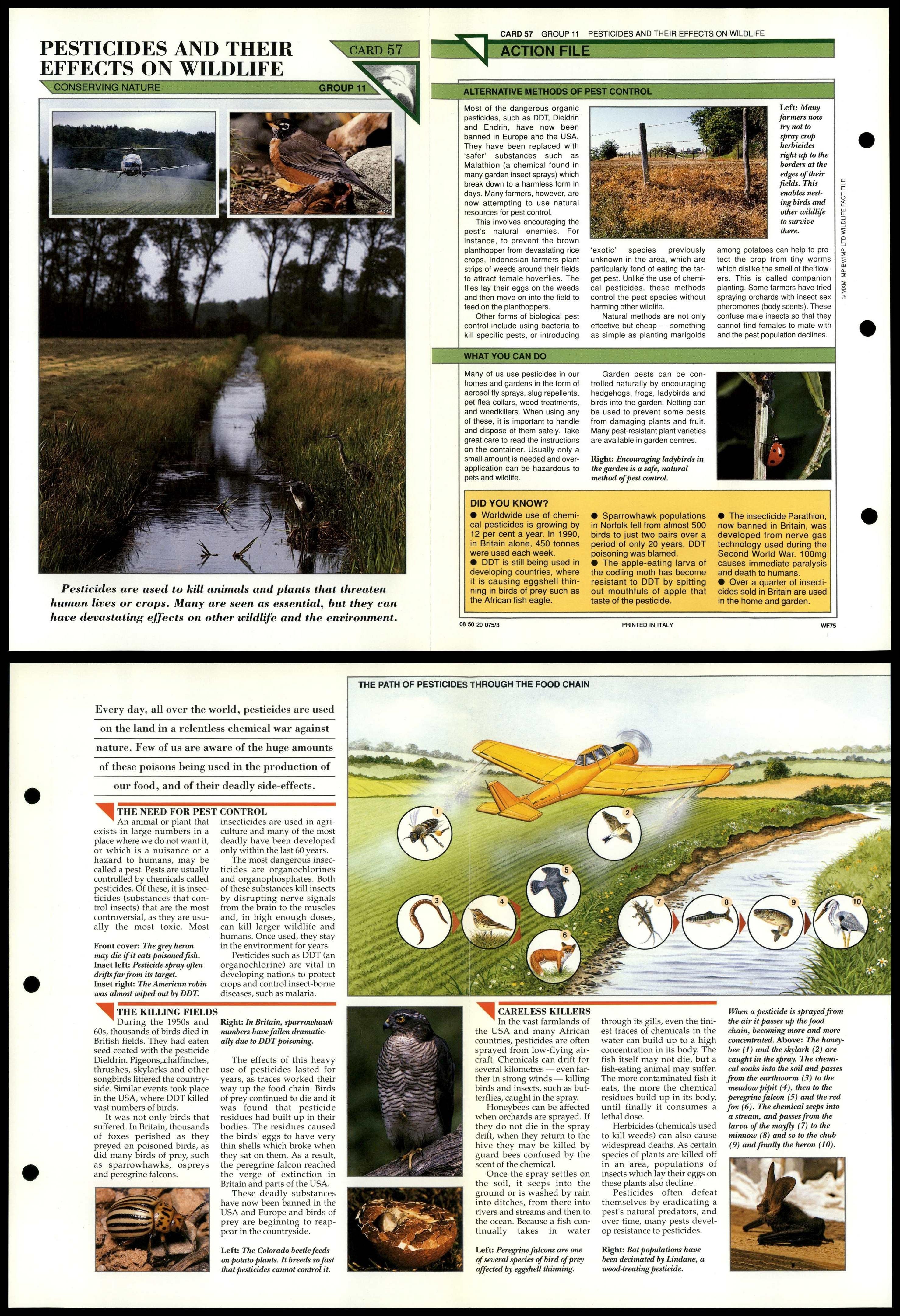 Pesticides & Effect 57 Conservation Wildlife Fact File FoldOut Card