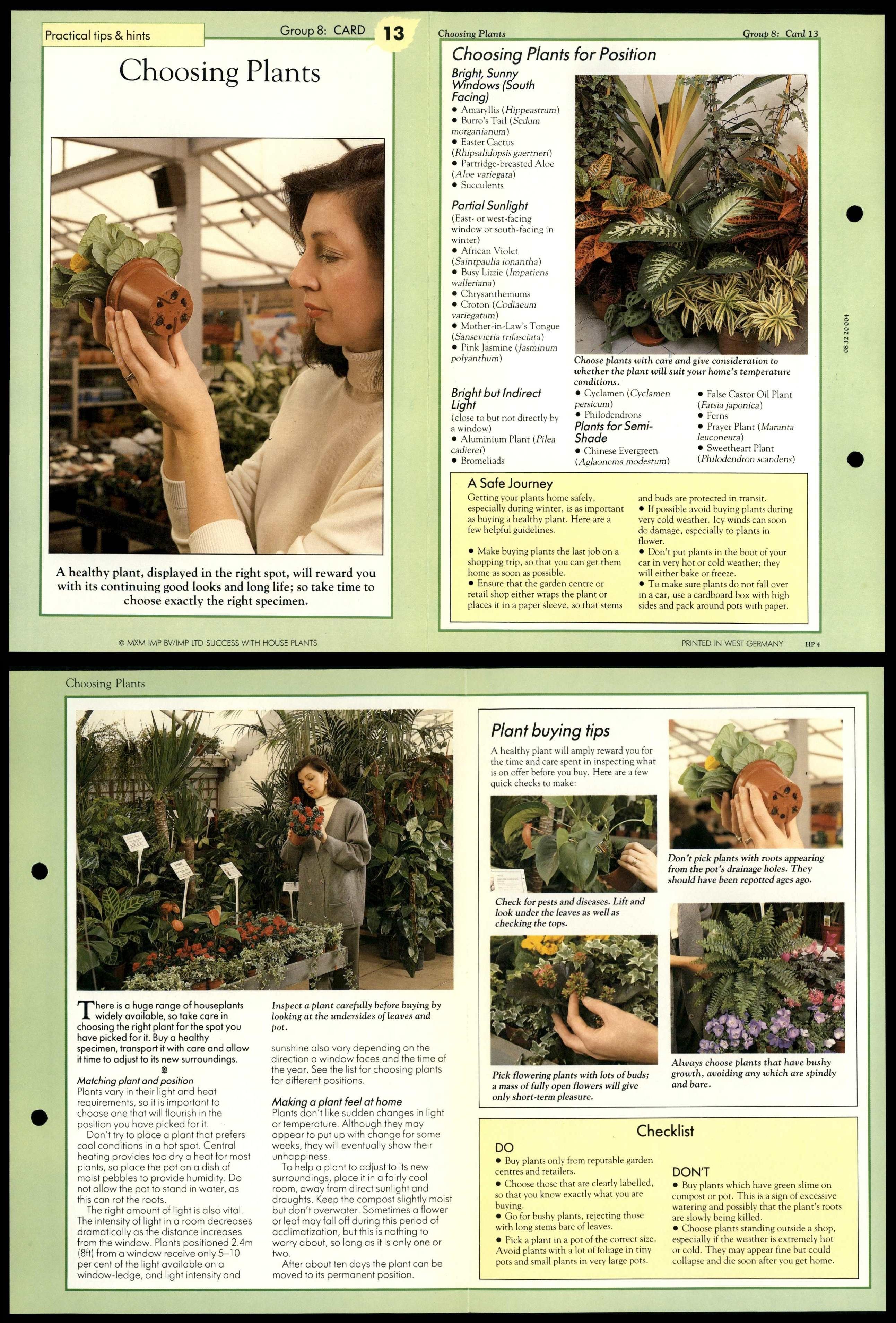 Choosing Plants 13 Tips Success With House Plants 1990 FoldOut Card