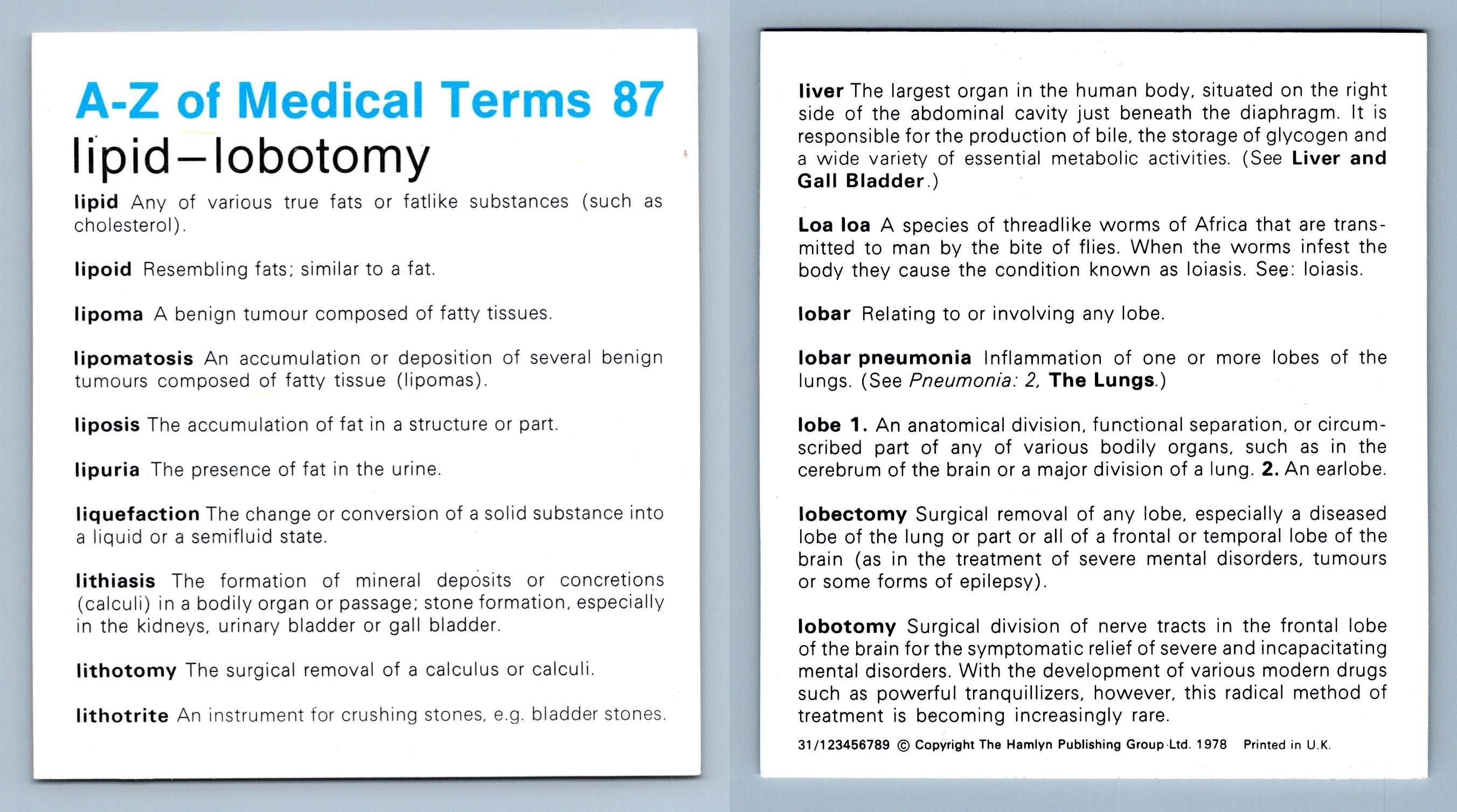 2 Anatomy - Abdominal Cavity Flashcards