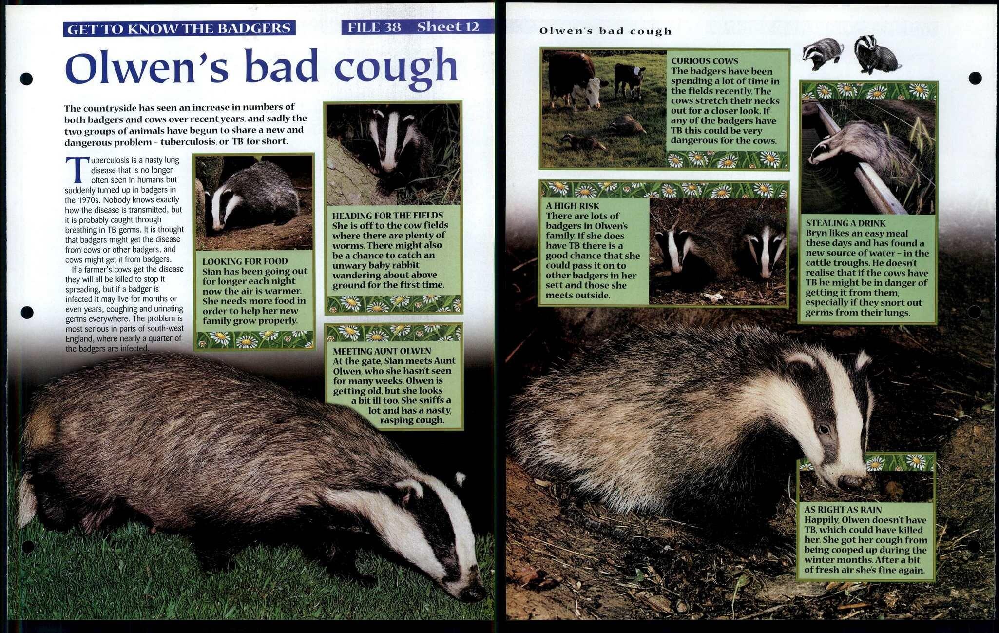 Olwens Bad Cough 12 Get To Know Animals, Animals, Animals Fact File Page