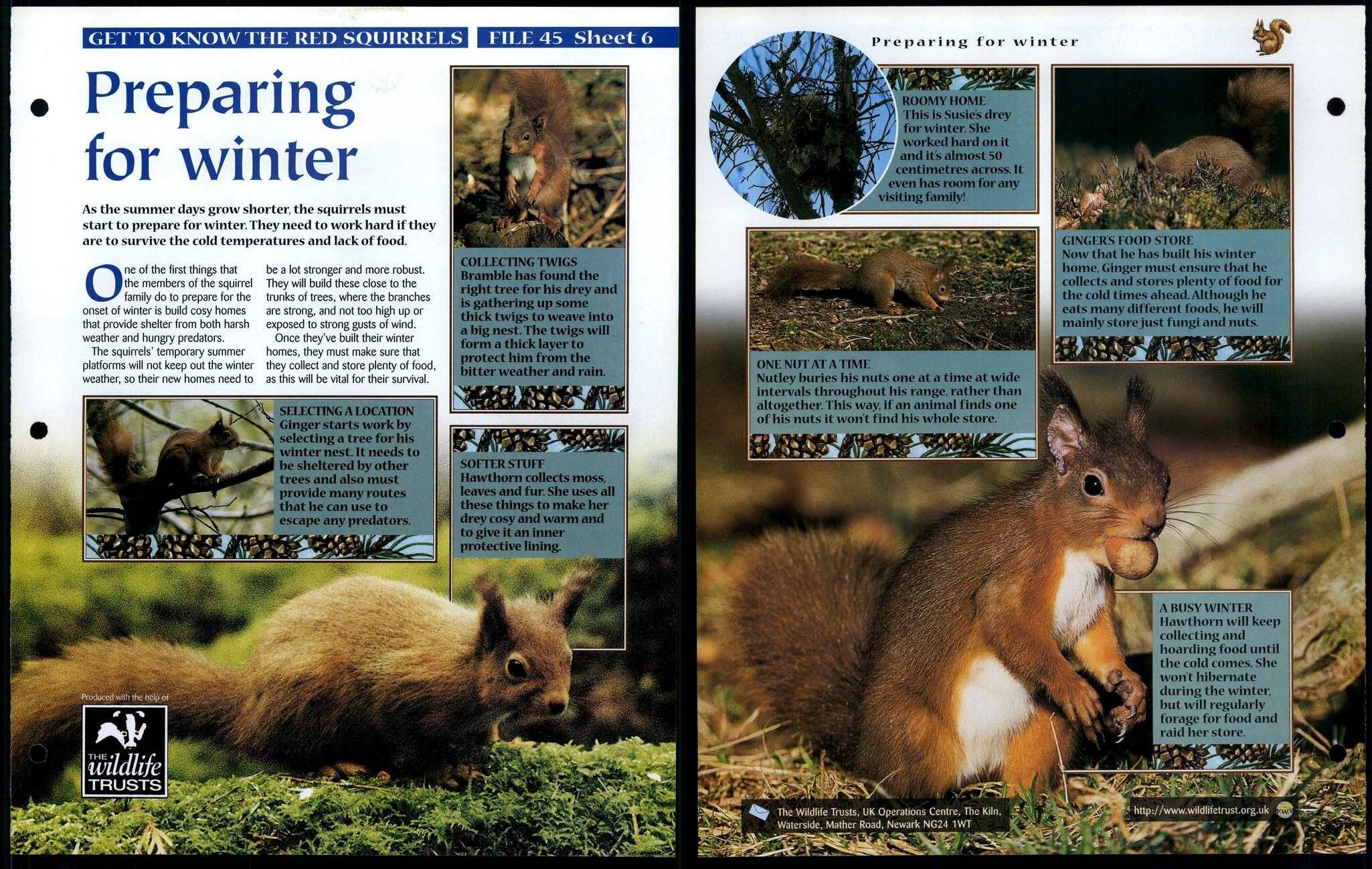 Preparing For Winter #6 Get To Know Animals, Animals, Animals Fact 