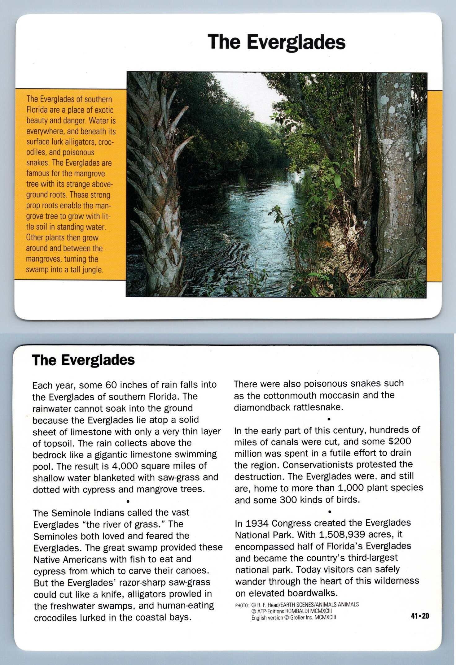 The Everglades #41.20 - Themes - Grolier Wildlife Adventure Card