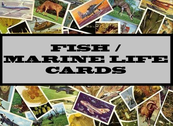 Fish / Marine Life Cards