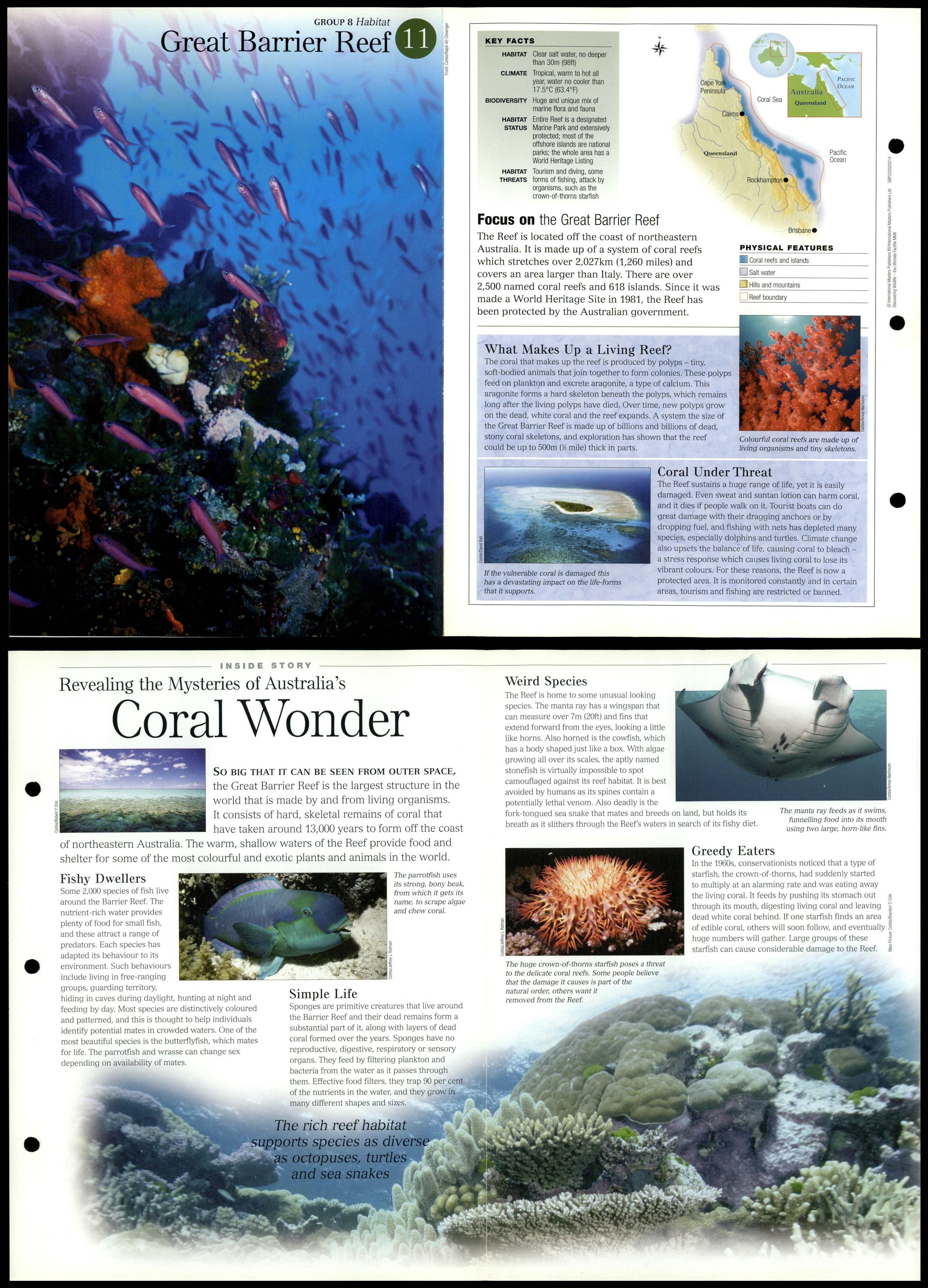 Great Barrier Reef #11 Habitat - Discovering Wildlife Fact File Fold ...