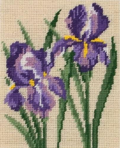 Anchor Starters Tapestry Kit - Iris's MR953