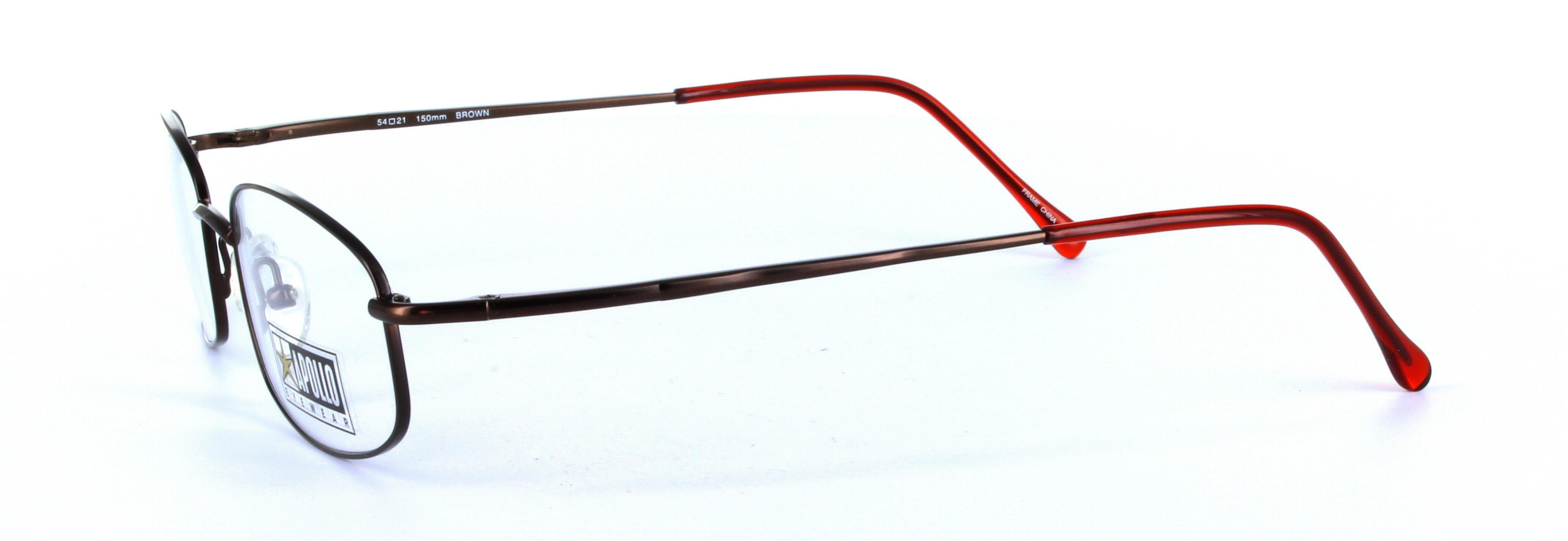 Barbera Brown Full Rim Oval Plastic Glasses  - Image View 2