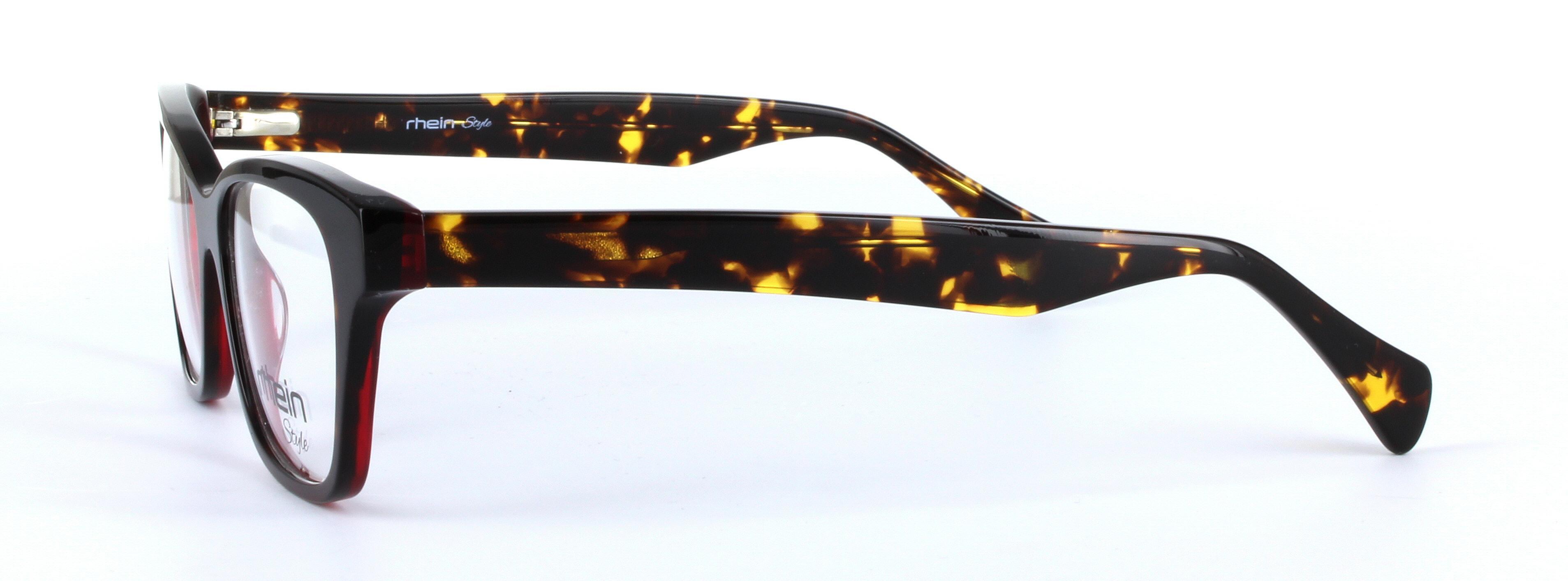 Felia Burgundy Full Rim Oval Round Plastic Glasses - Image View 2